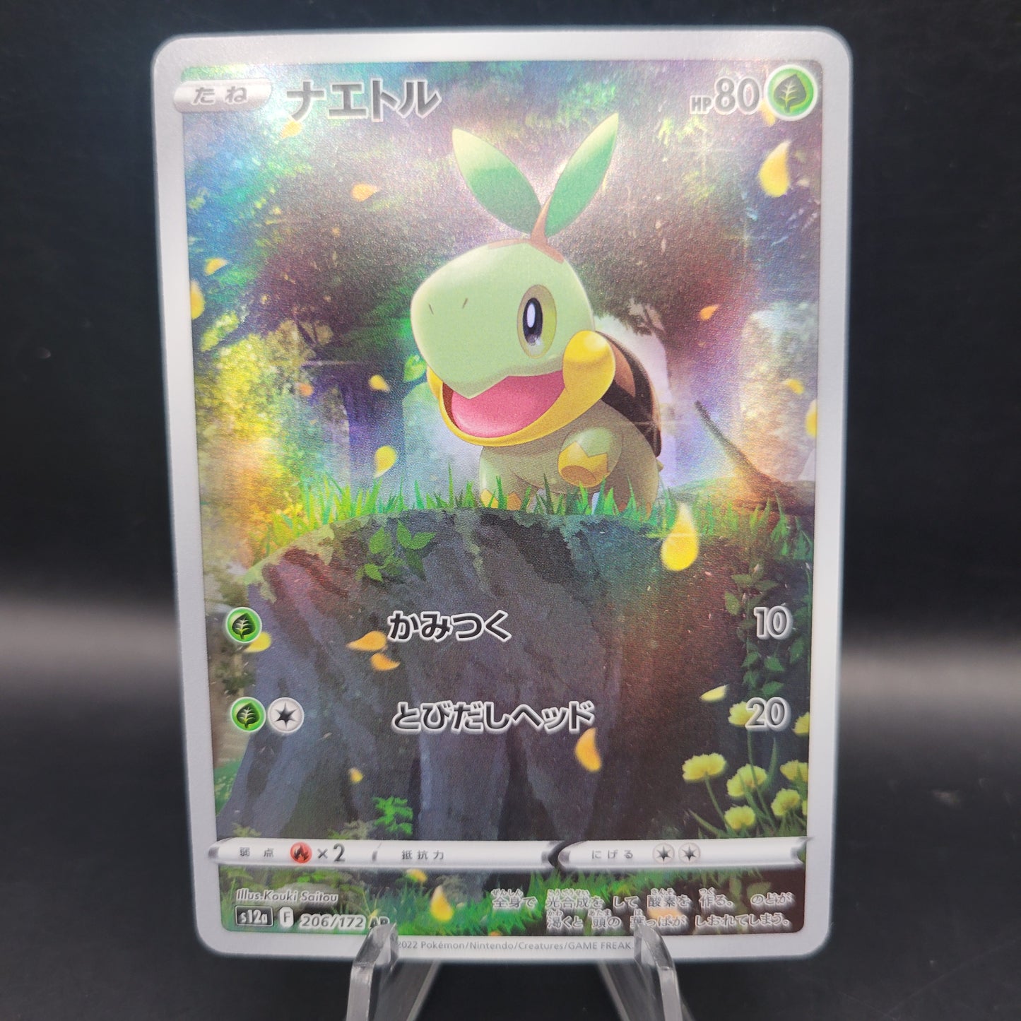 Pokémon TCG: 2022 Japanese Turtwig 206/172 AR S12a: VSTAR Universe