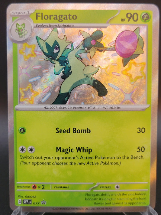 Pokémon TCG: 2024 Floragato 077 Promo S&V Paldean Fates Baby Shiny