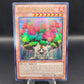 Yu-Gi-Oh! TCG Sylvan Hermitree LVAL-EN020  - Legacy of the Valiant