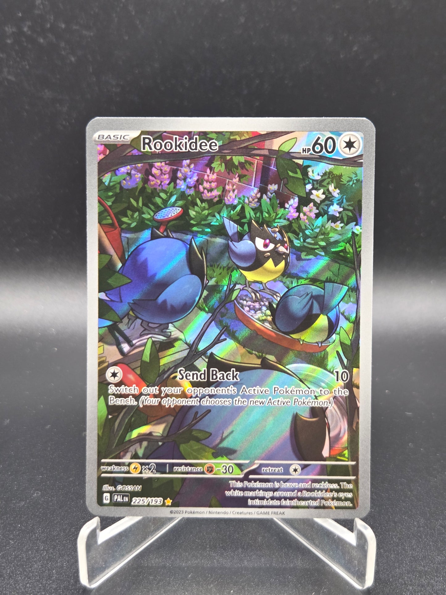 Pokémon TCG: 2023 Rookidee 225/193 S&V: Paldea Evolved