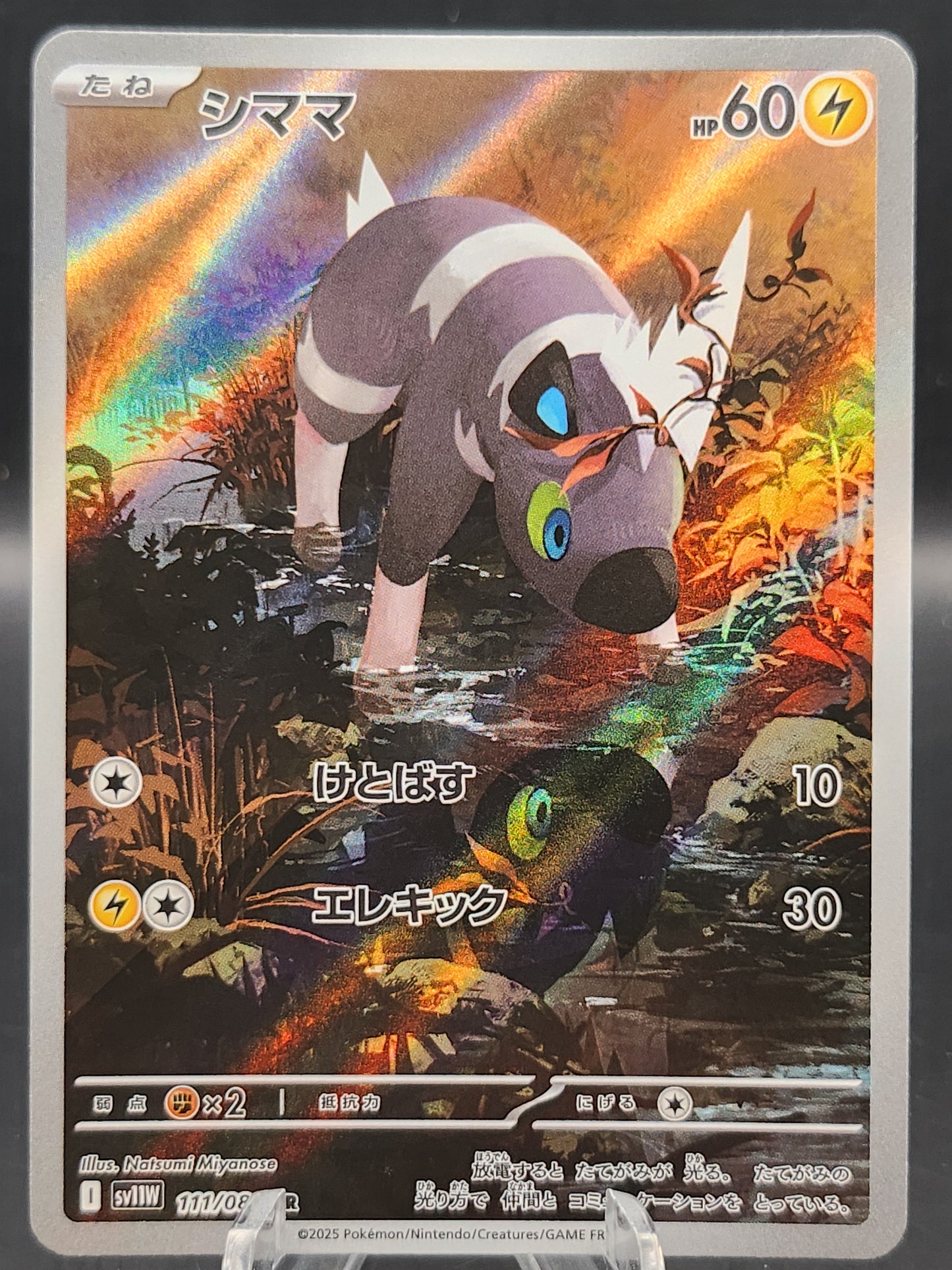 Pokémon TCG: 2025 Japanese Blitzle 111/086 sv11W: White Flare