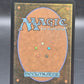 MTG TCG:Turbulent Steppe (Extended Art) - Commander: Secrets of Strixhaven (SOC)